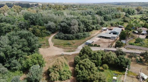 Centro hípico en el corredor verde del Guadiamar