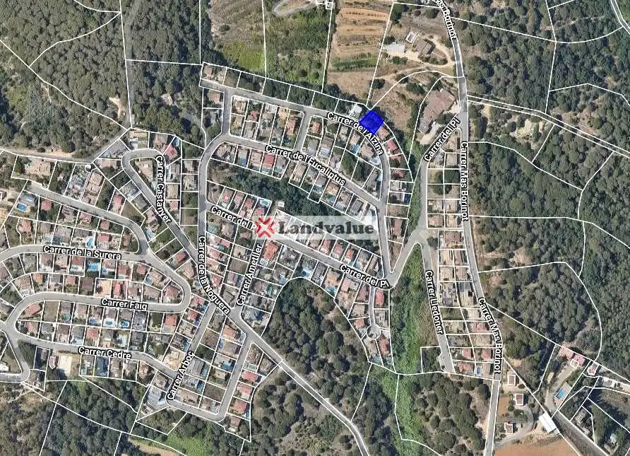Terrenos y solares en venta en Alzina 18, imagen 2