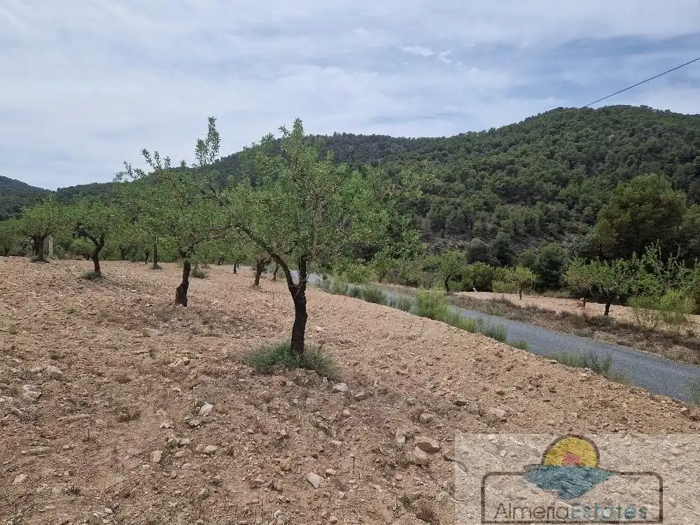 Country house for sale in Albox, imagen 4