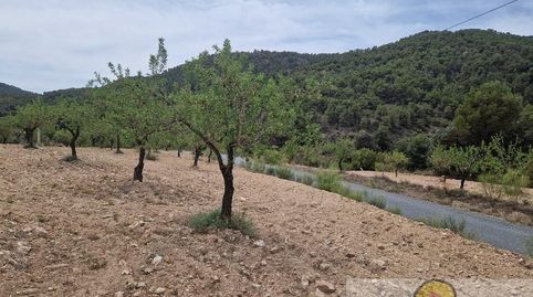 OriaCasa, image 4
