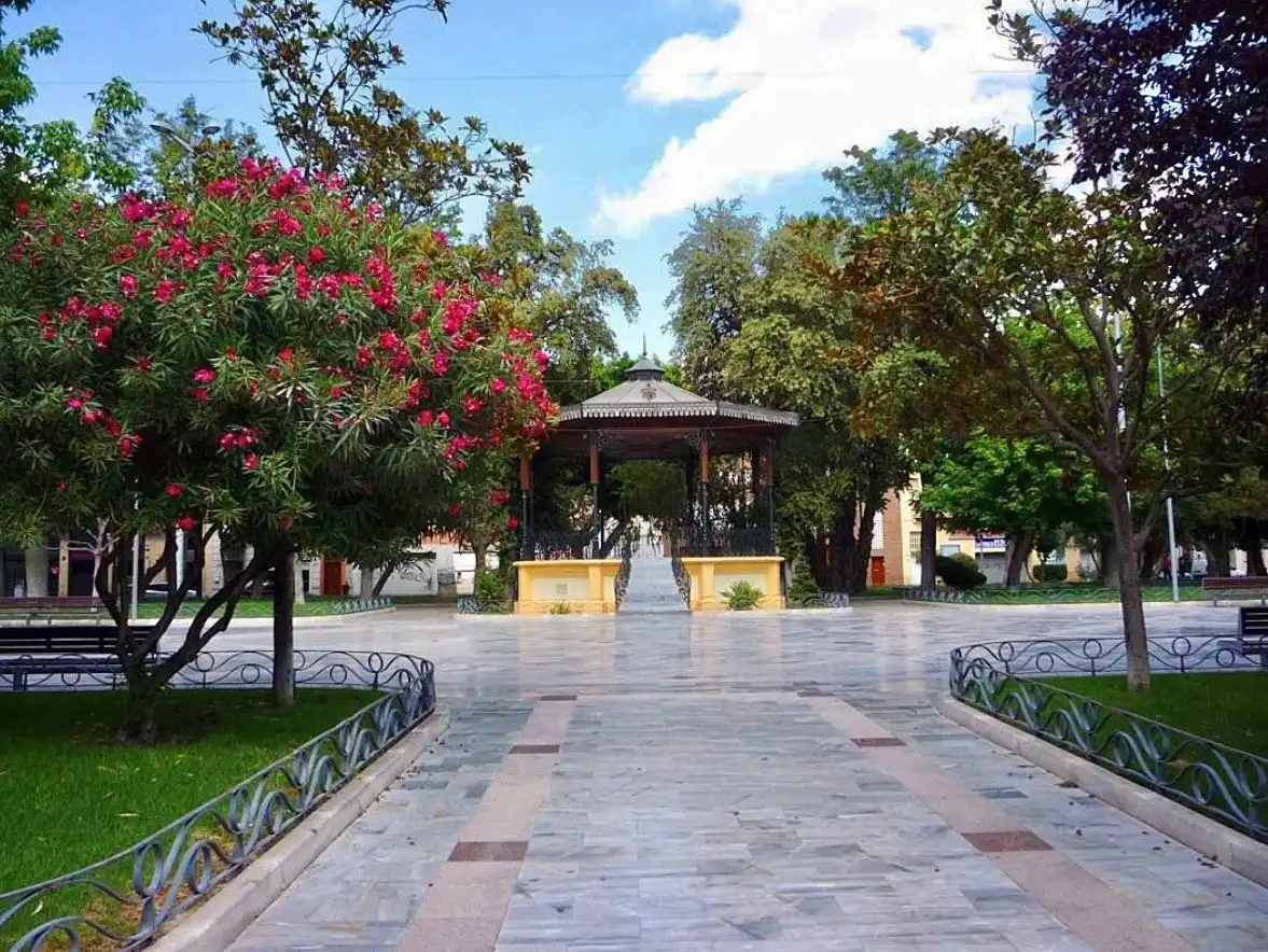 Individual en venta en Orihuela ciudad, imagen 4