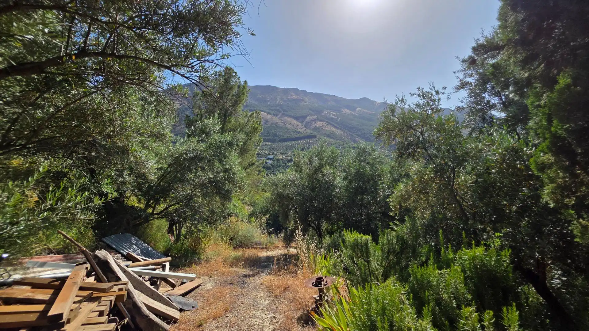Finca rústica en venda en Jaén amb Calefacció, Jardí privat i Terrassa