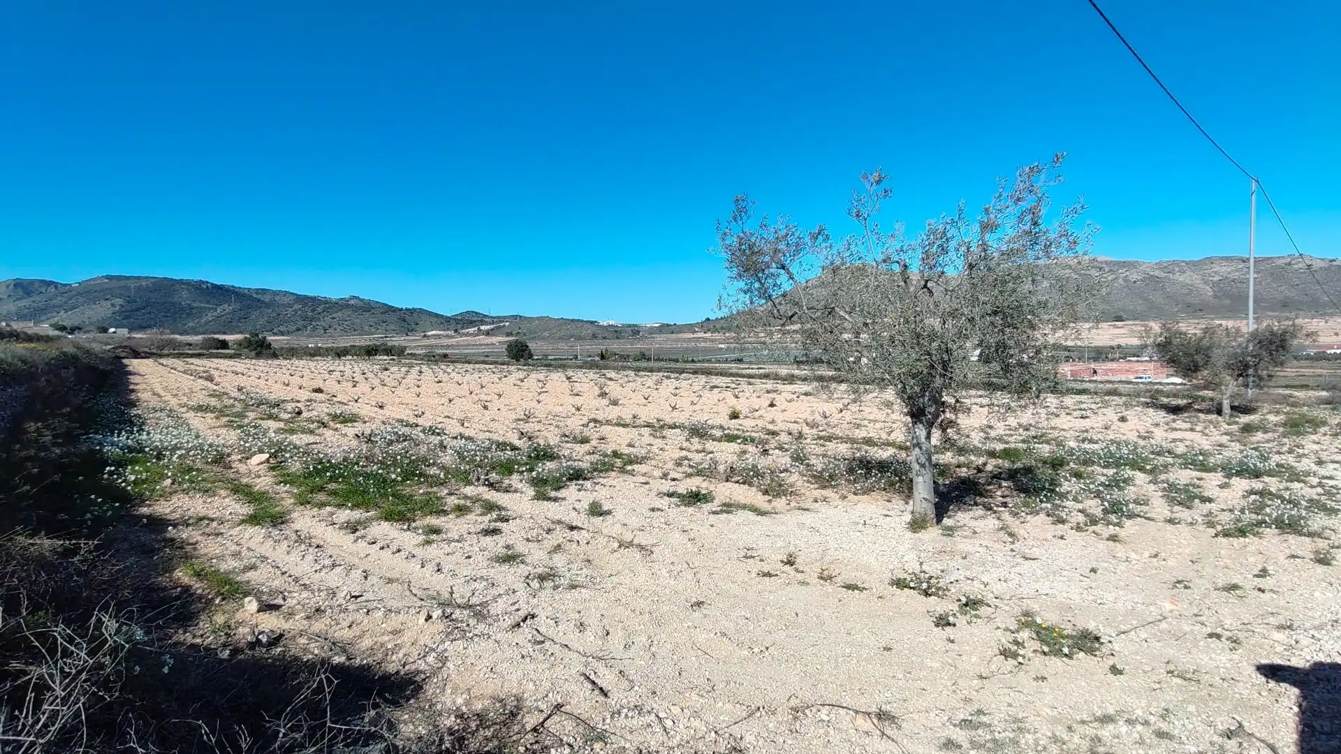 Lands and plots for sale in Abanilla, imagen 7