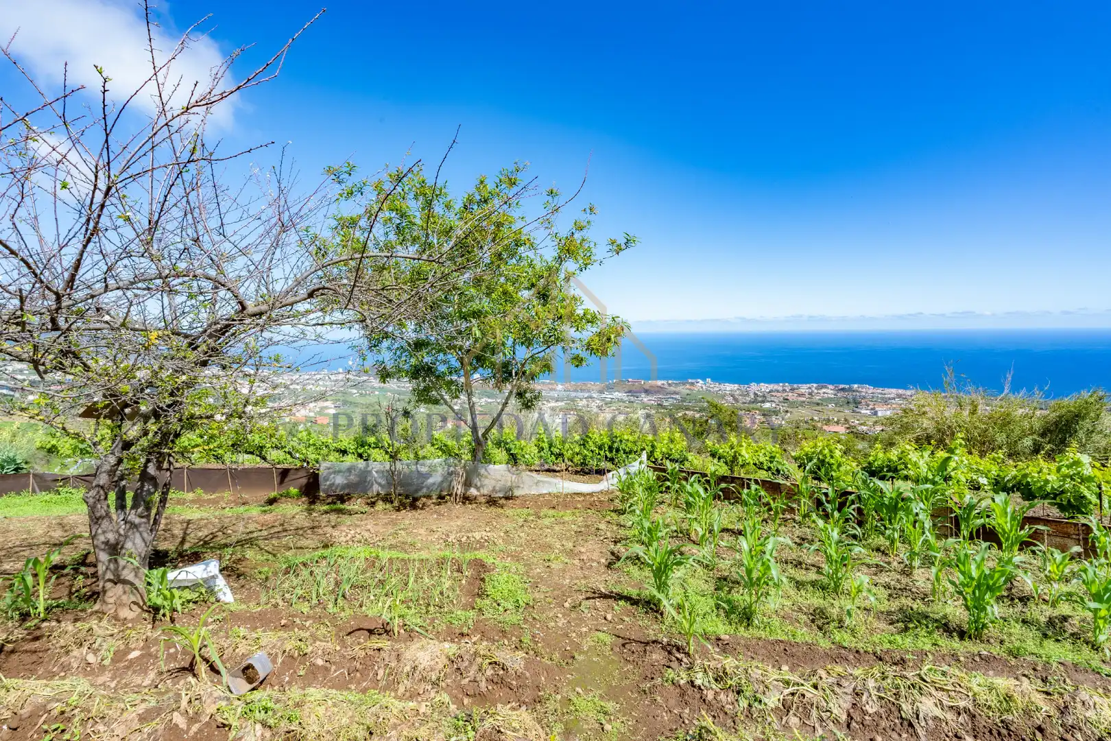 Casa rústica con jardín en venta en La Perdoma - San Antonio - Benijos, imagen 24