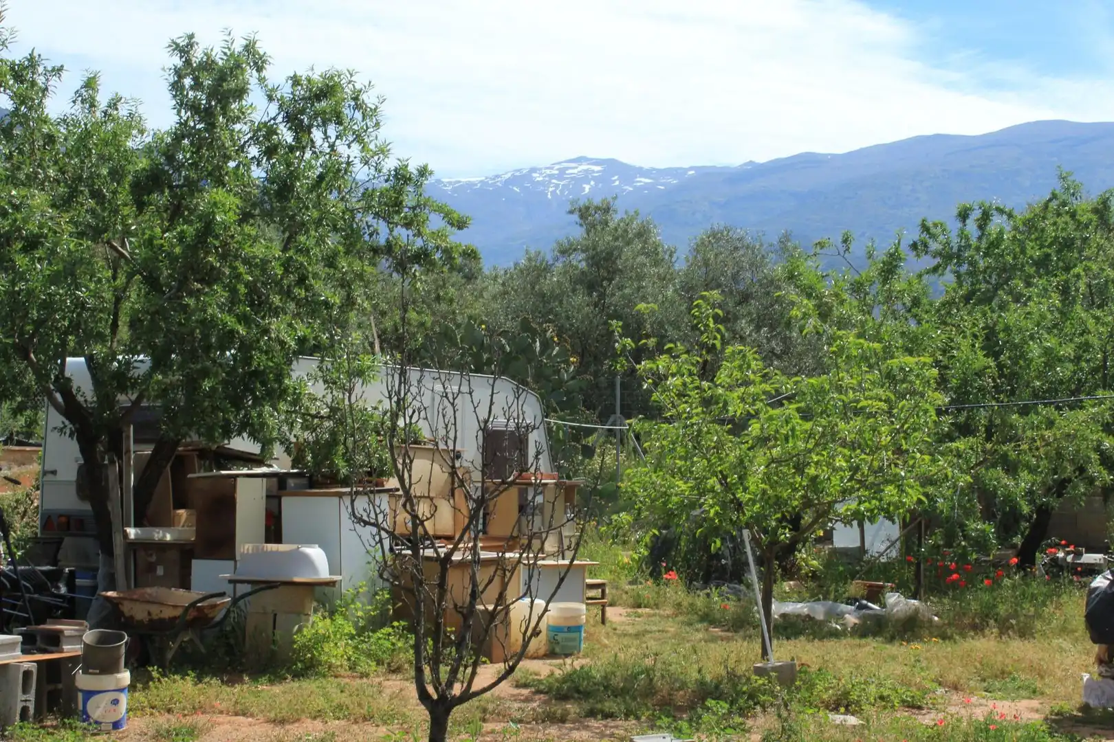 Jardín de Terreno en venta en Nigüelas