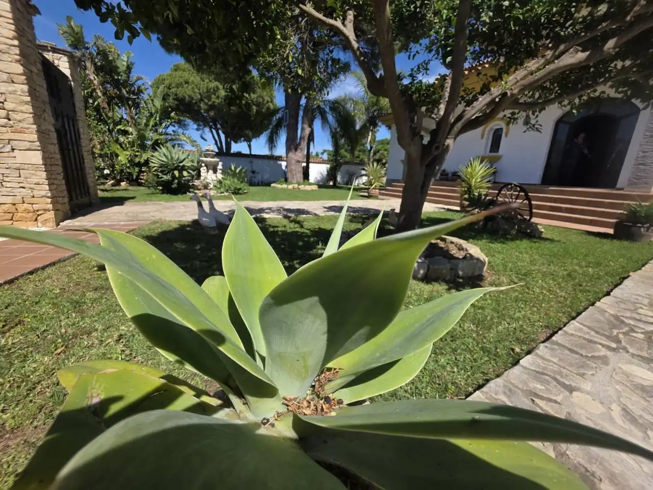 Garden of Houses for sale in Chiclana de la Frontera  with Terrace and Swimming Pool
