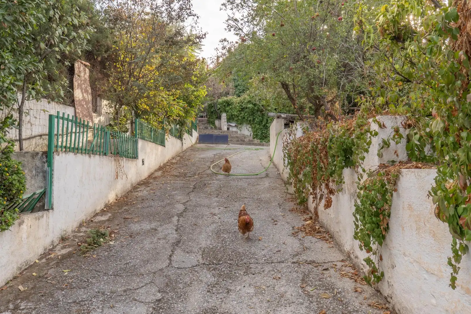 Vista exterior de Casa o xalet en venda en La Zubia amb Calefacció, Jardí privat i Terrassa