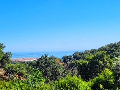 Jardí de Finca rústica en venda en Estepona amb Terrassa i Piscina