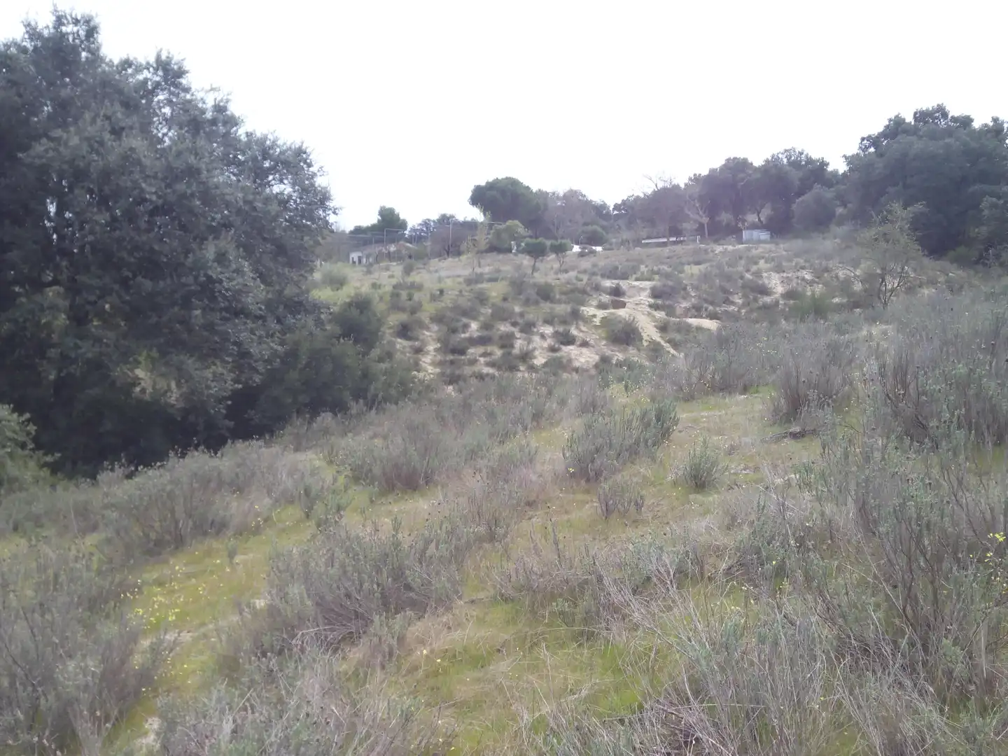 Terreno en venta en Aldea del Fresno