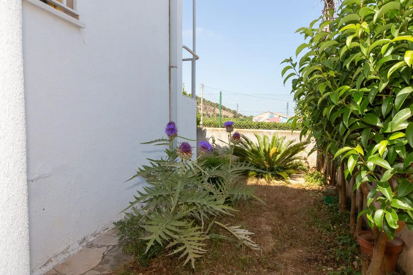 Adosado en venta en Alcanar, imagen 4