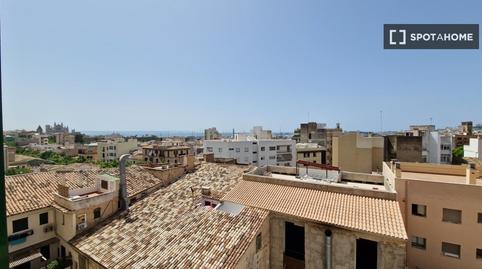 Photo 3 of Apartment to share in Santa Catalina, Illes Balears