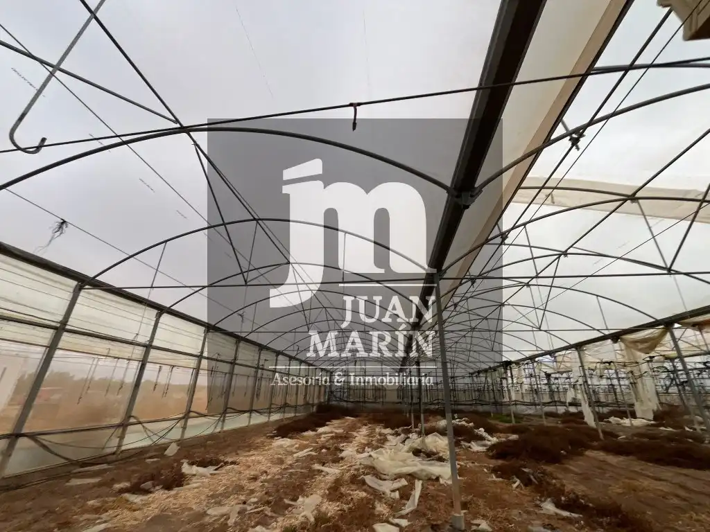 Garden of Land for sale in Ontur