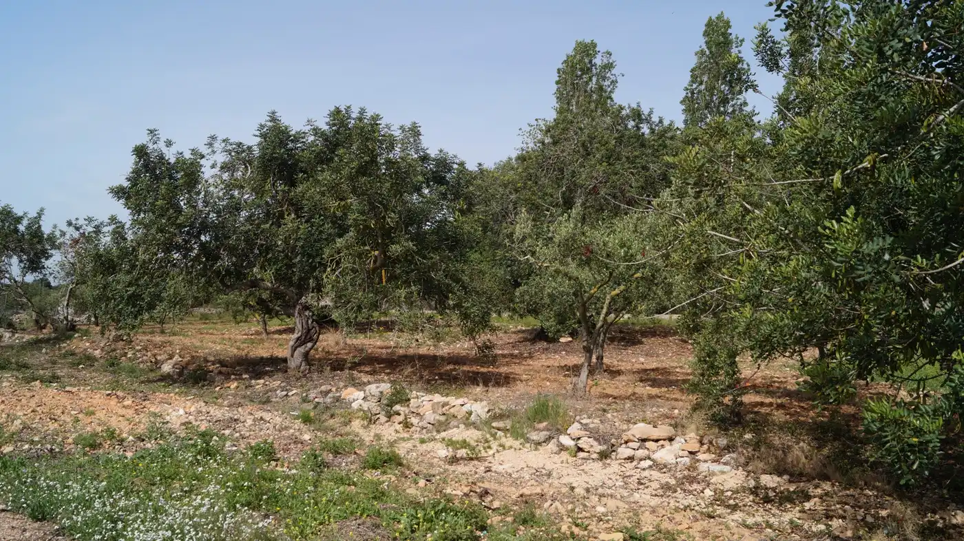 Terreno en venta en Torredembarra