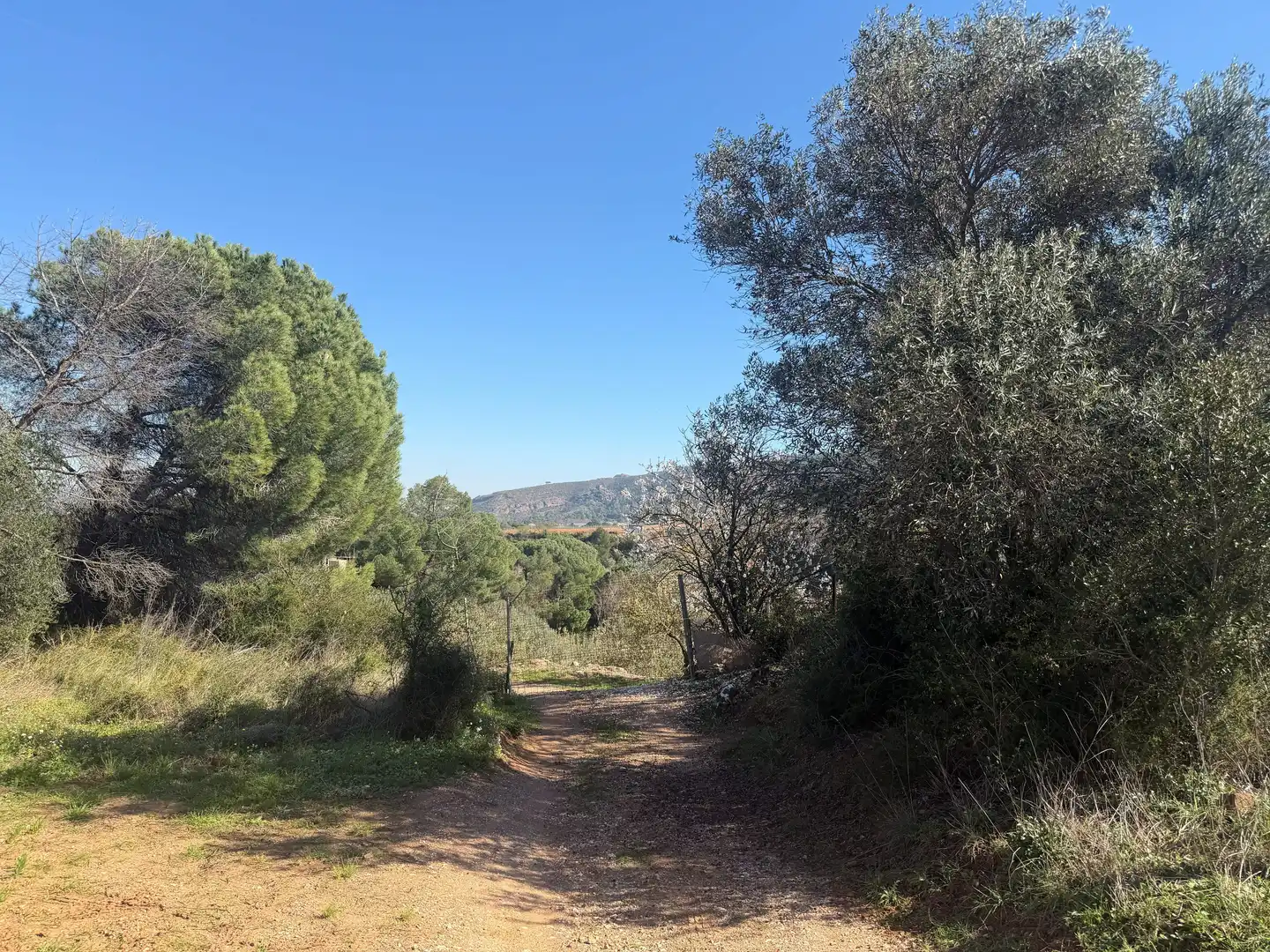 Rustikales Grundstück zum Verkauf in Castellví de Rosanes, imagen 4