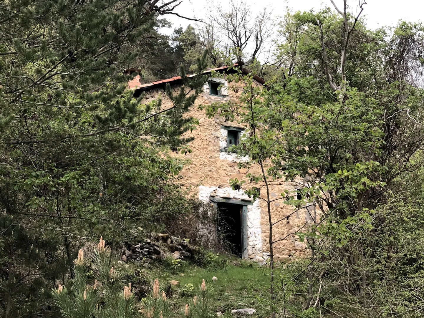 Vista exterior de Terreno en venta en Saldes