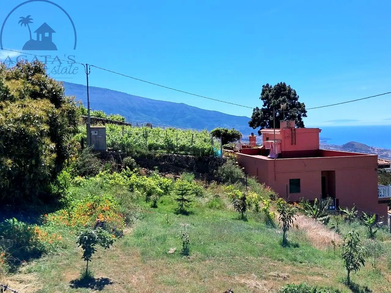 Country homes for sale in Centro