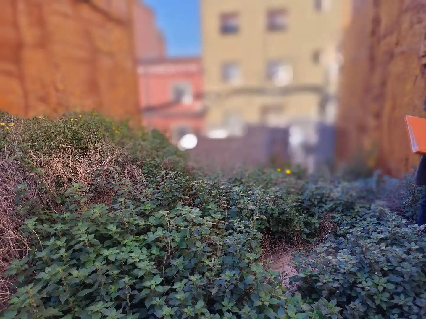 Exterior view of Residential for sale in Badalona