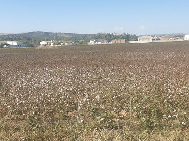 Terreno rustico in vendita a Arcos de la Frontera