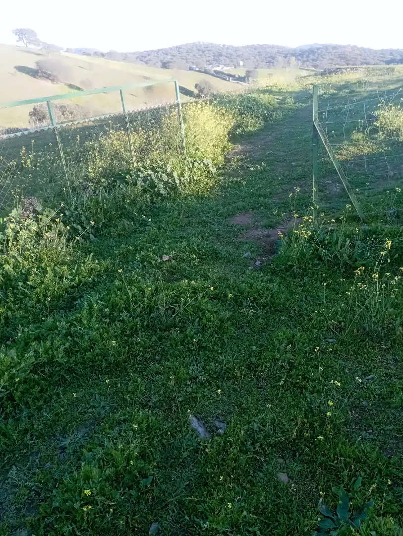 Terreno en venta en Puebla del Maestre