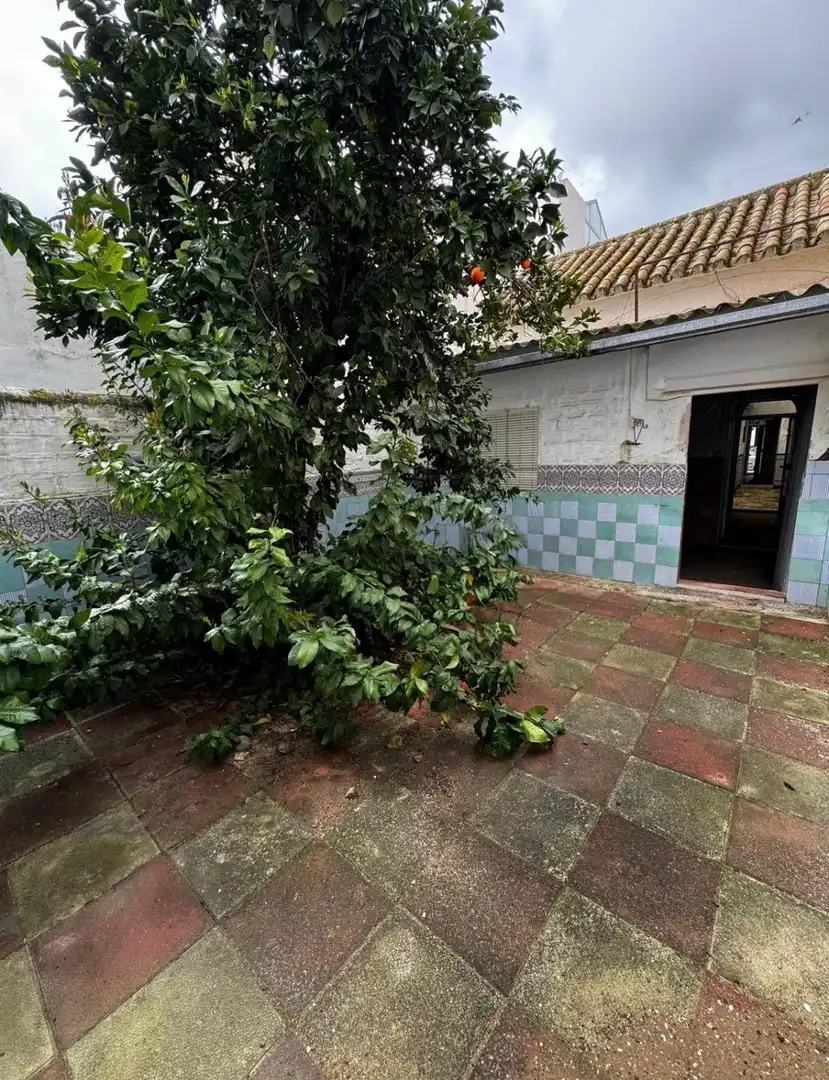 Maison à vendre à Paradas, imagen 9