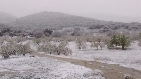 Foto 4 de Finca rústica en venda a Camino Navaparis, Torres, Jaén