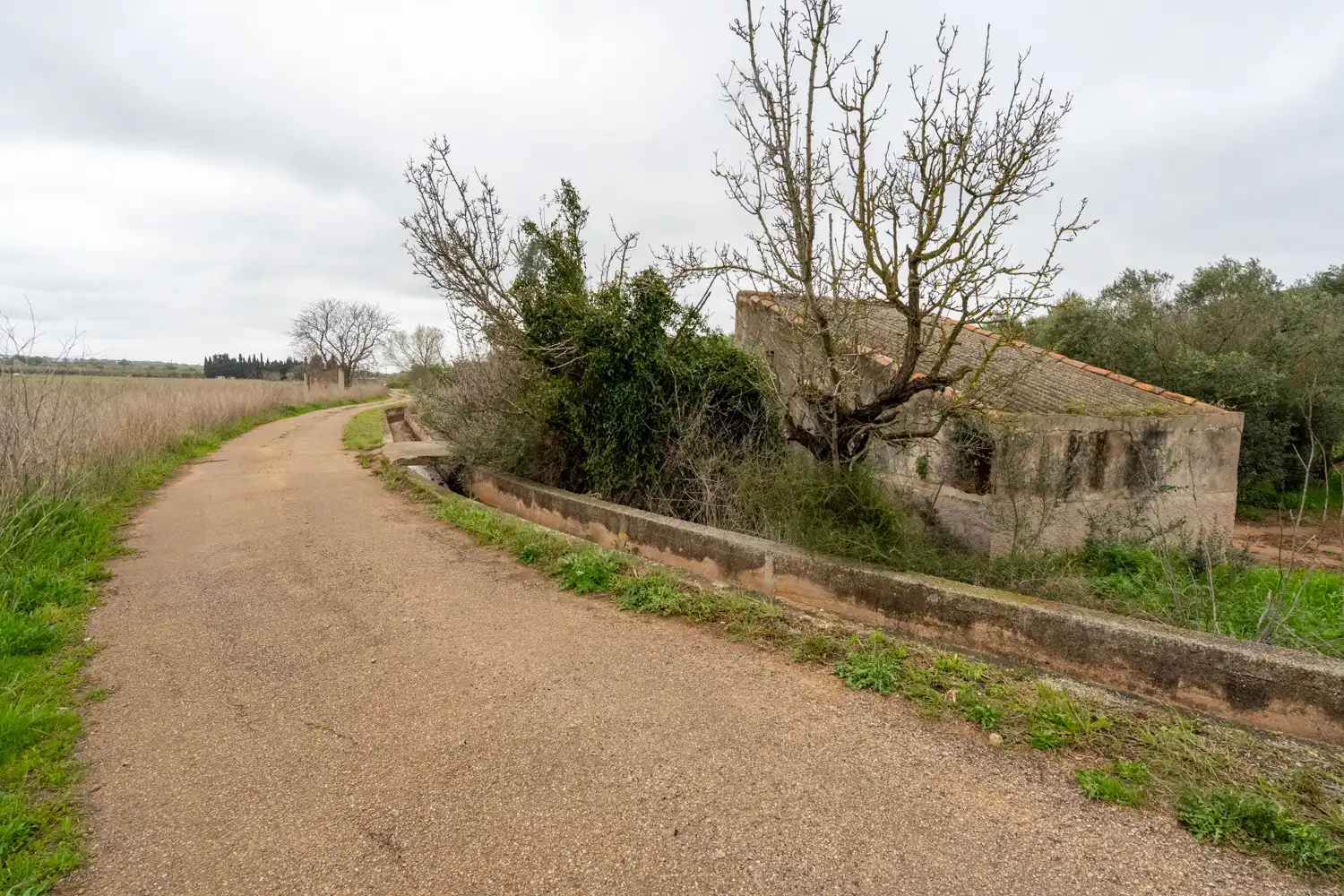 Rural land for sale in Godall, imagen 6