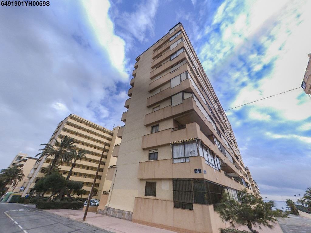 Vista exterior de Apartament en venda en Torrevieja amb Balcó