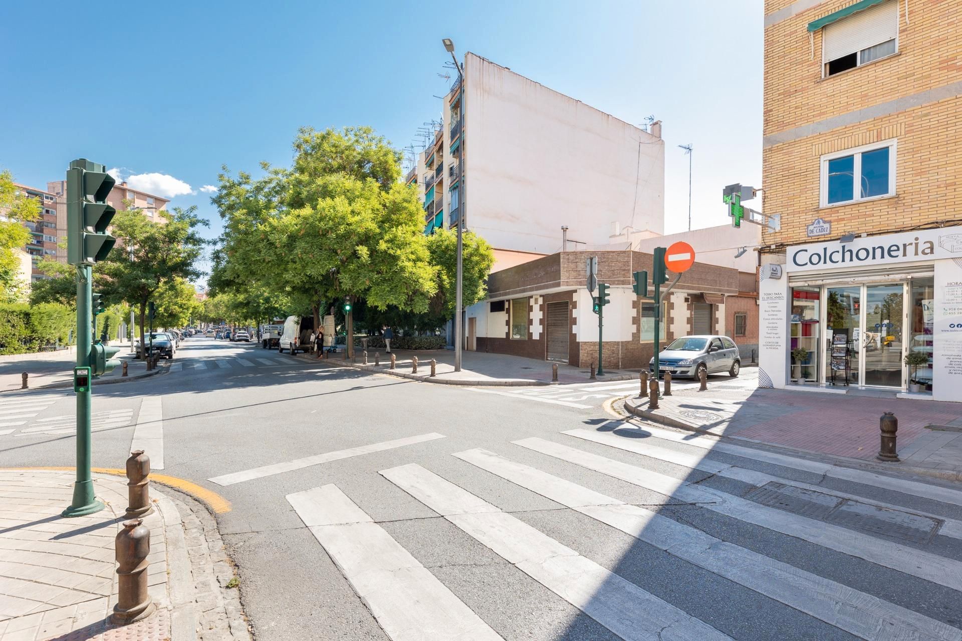 Vista exterior de Casa o xalet en venda en  Granada Capital amb Terrassa