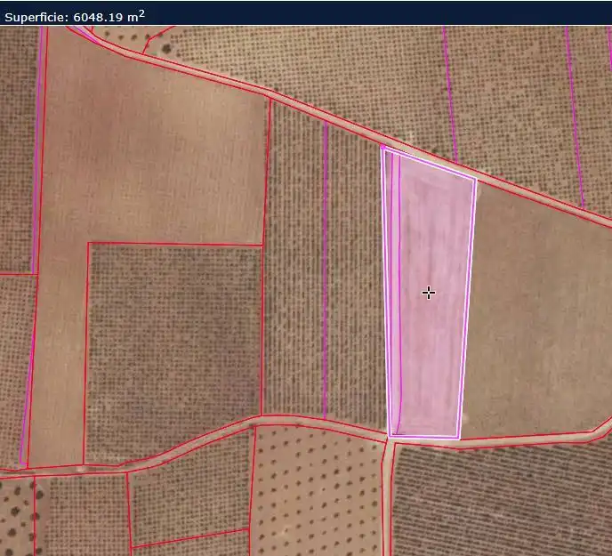 Rural land for sale in Valdepeñas, imagen 12