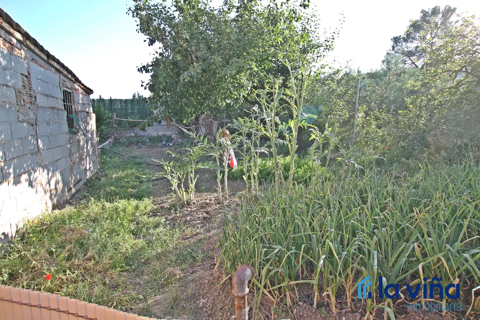 Finca rústica en venta en Archidona con Jardín privado, Trastero y Piscina