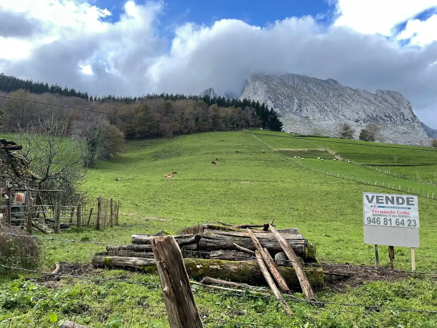 Vista exterior de Finca rústica en venta en Atxondo con Jardín privado