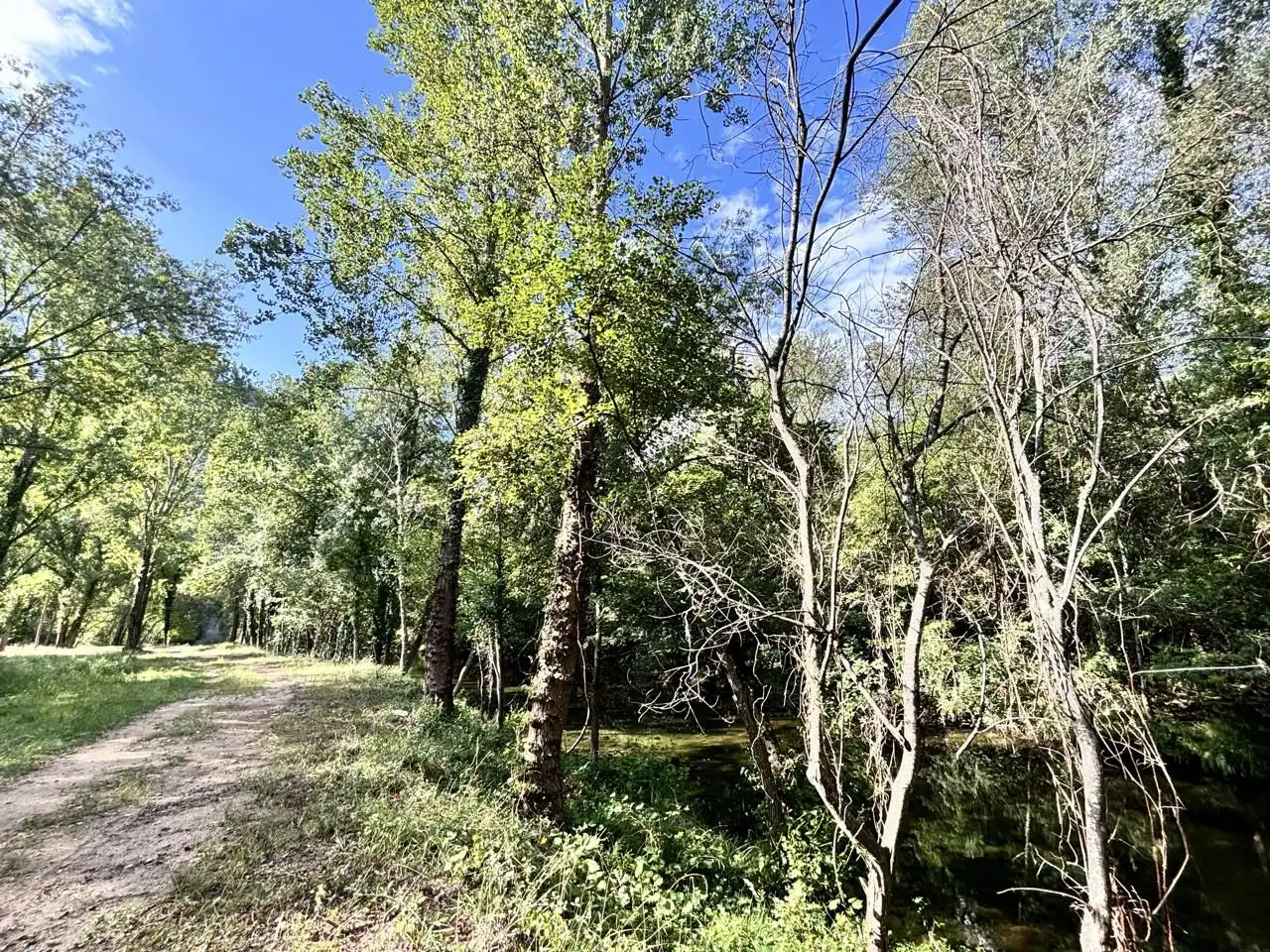 Terreno en venta en Carrer de Jaume I, Albanyà
