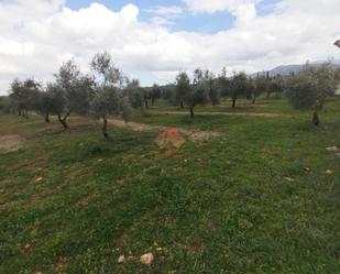Country house for sale in Ronda