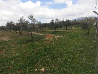 Finca rústica en venda en Ronda