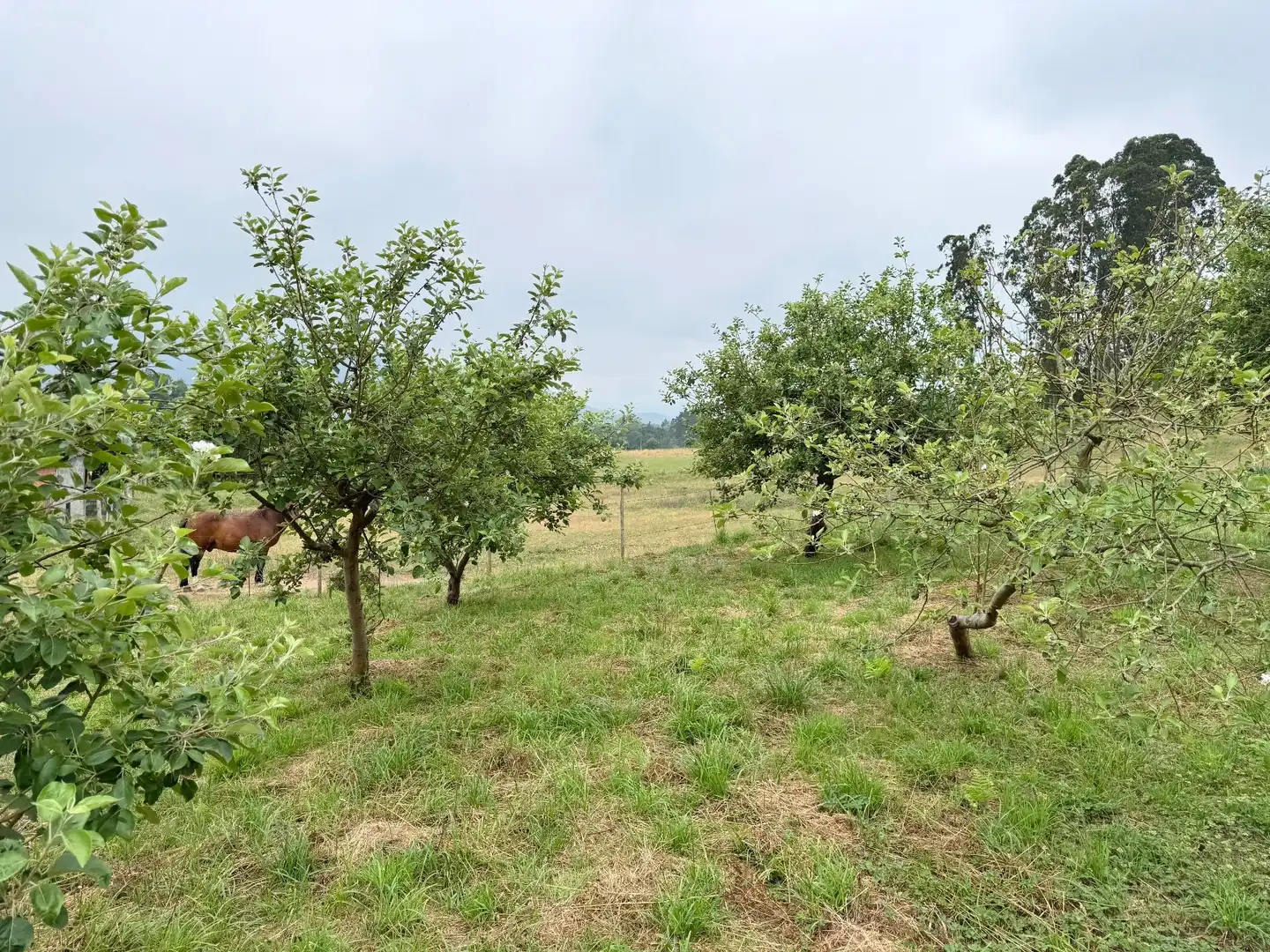 Residential for sale in Alfoz