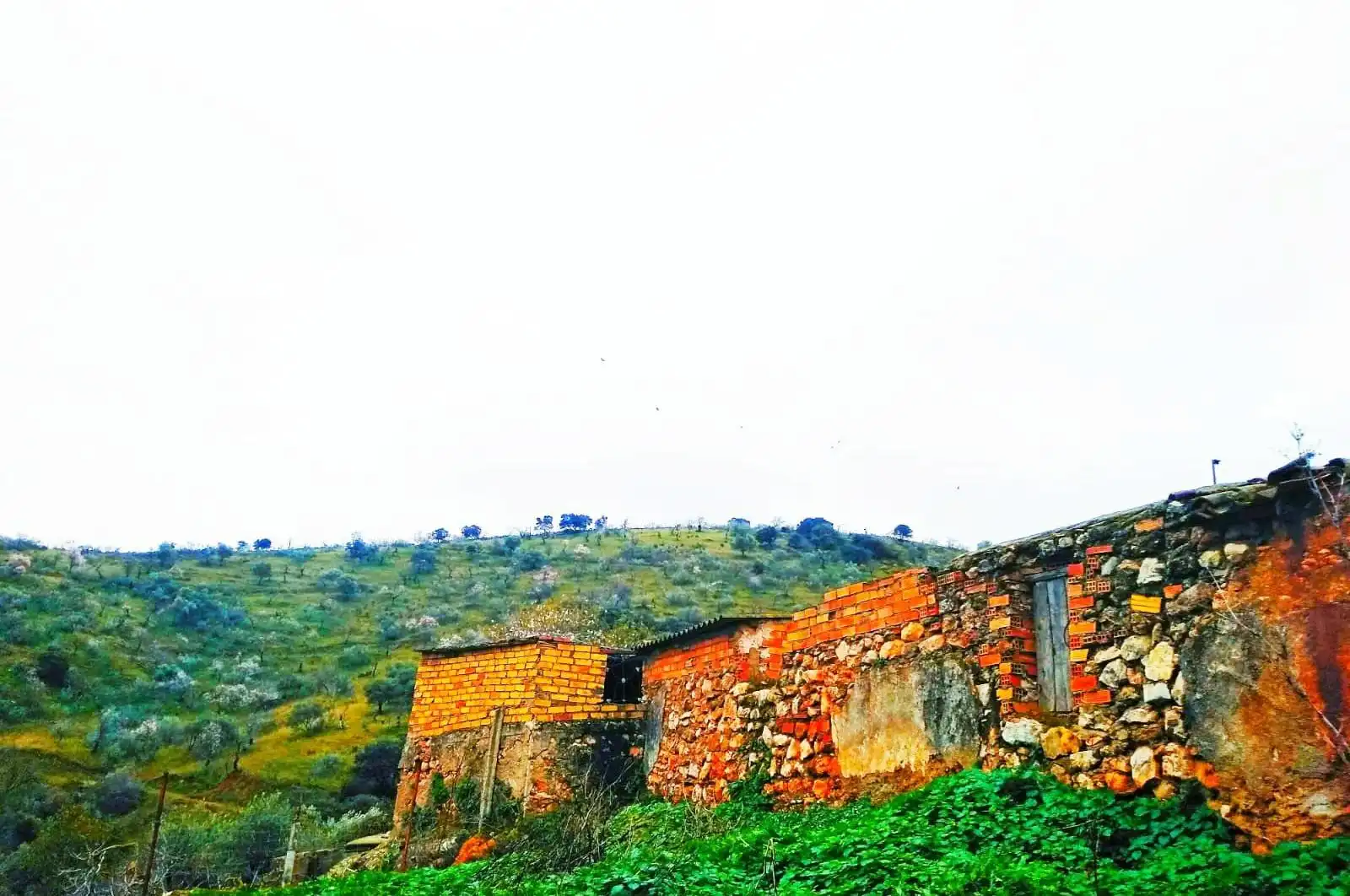Terreni e lotti in vendita a huerto franco, imagen 45