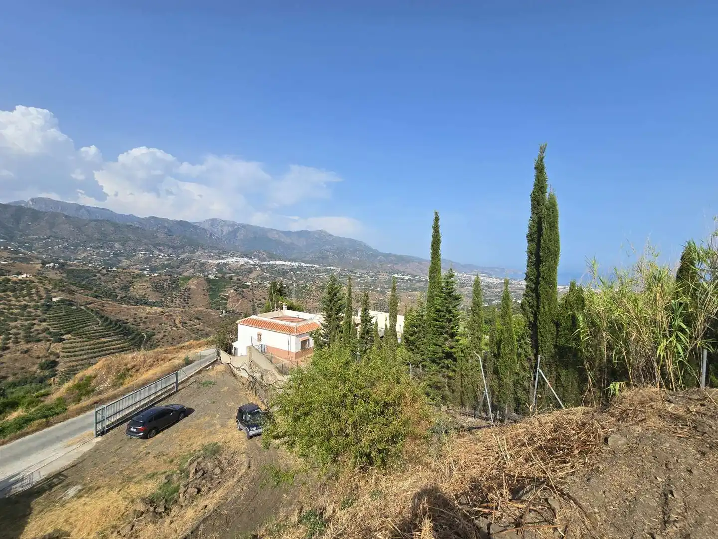 Vista exterior de Finca rústica en venda en Torrox