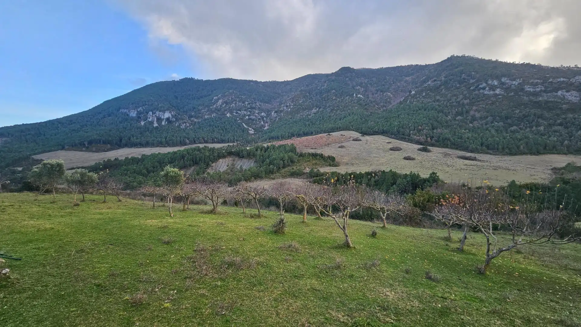 House with garden for sale in Calle PARDINA FERRERA, imagen 61