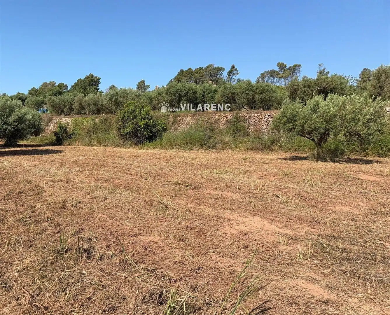 Rustikales Grundstück zum Verkauf in La Pobla de Montornès, imagen 8