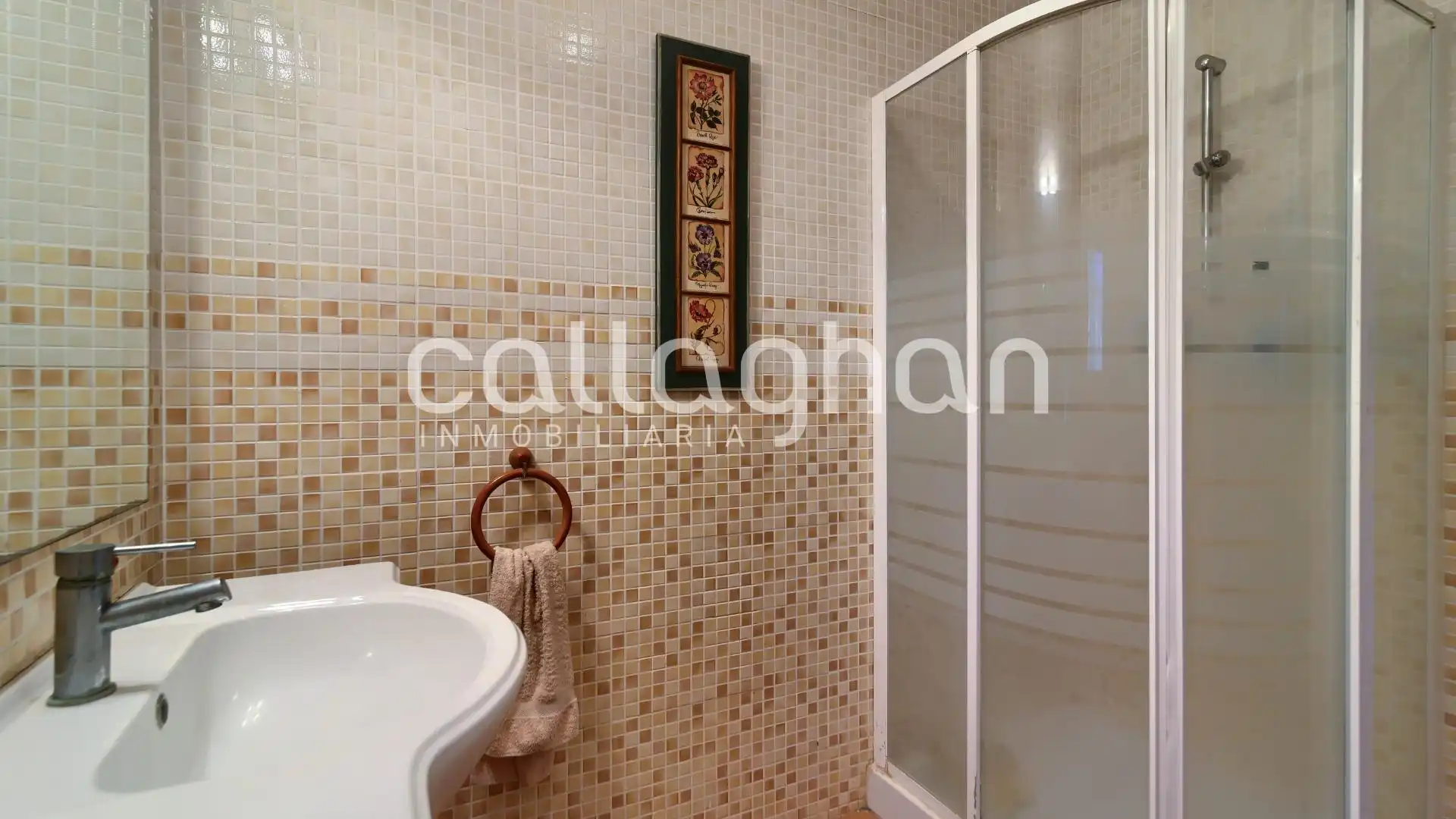 Baño de Casa o chalet en venta en Alzira con Aire acondicionado, Calefacción y Jardín privado