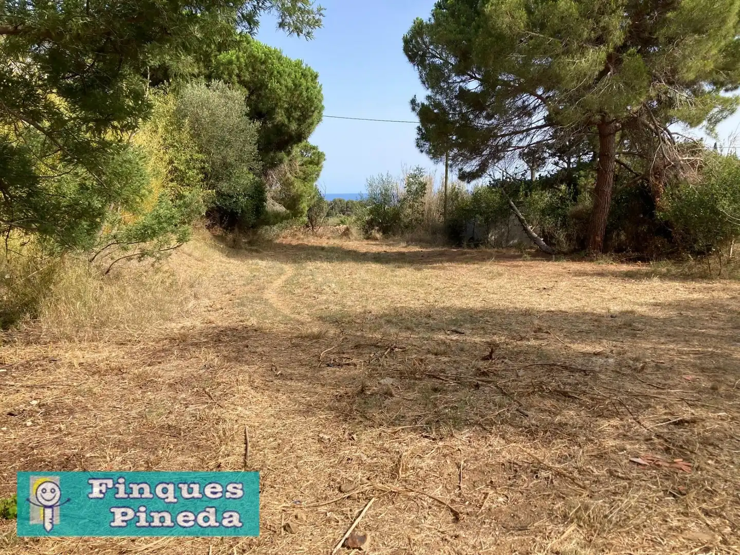 Rural land for sale in Calella