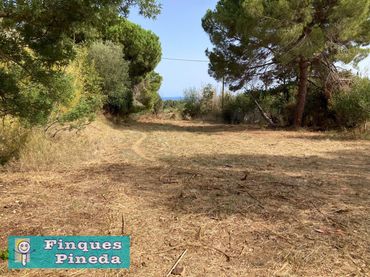 Terreno rustico in vendita a Calella