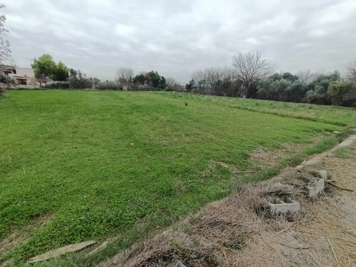 Terreny residencial en venda a Alguazas, imagen 3