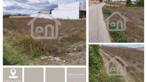 Terreno Rustico en la Torrecilla Requena