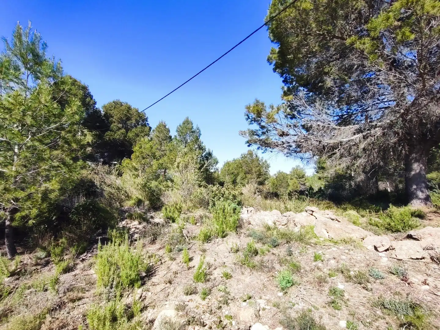 Terreno en venta en Alfara de la Baronia