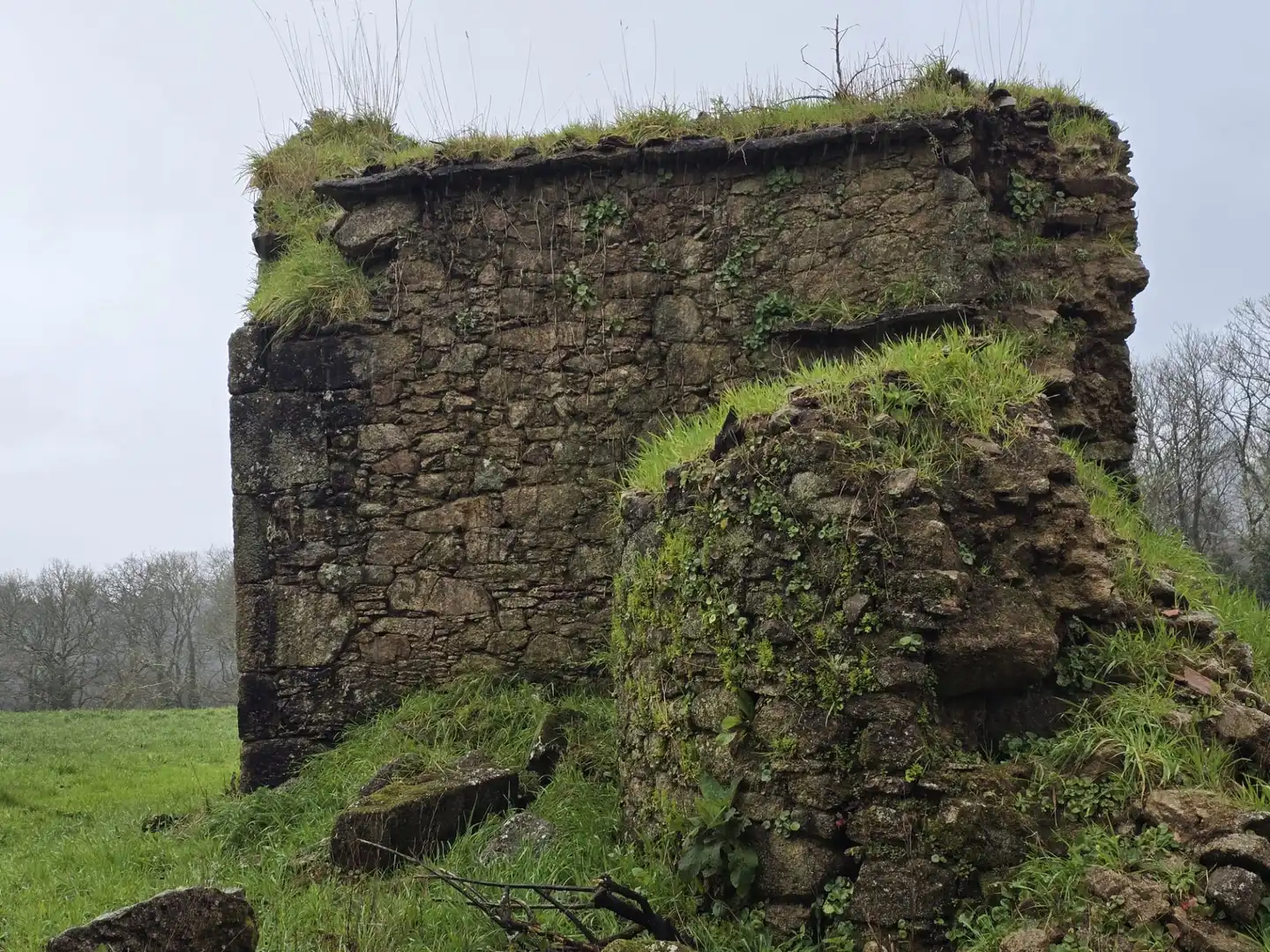 Vista exterior de Finca rústica en venda en Cerceda amb Jardí privat