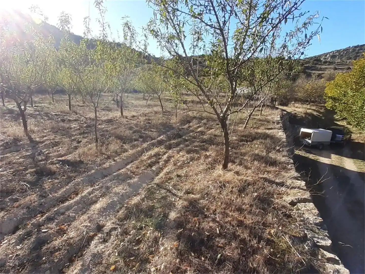 Terreno en venta en Algar de Mesa, Guadalajara