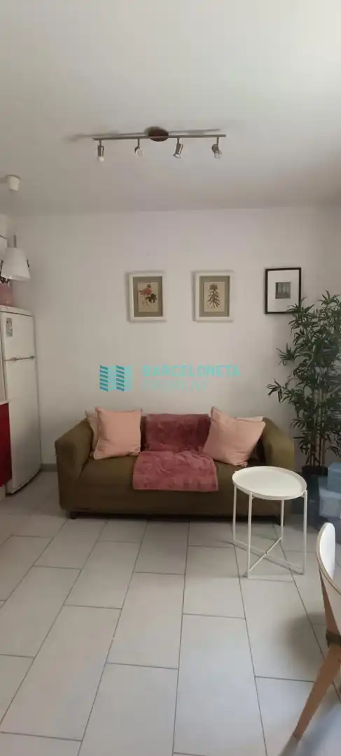 Sala de estar de Piso de alquiler en Barcelona con Terraza y Amueblado