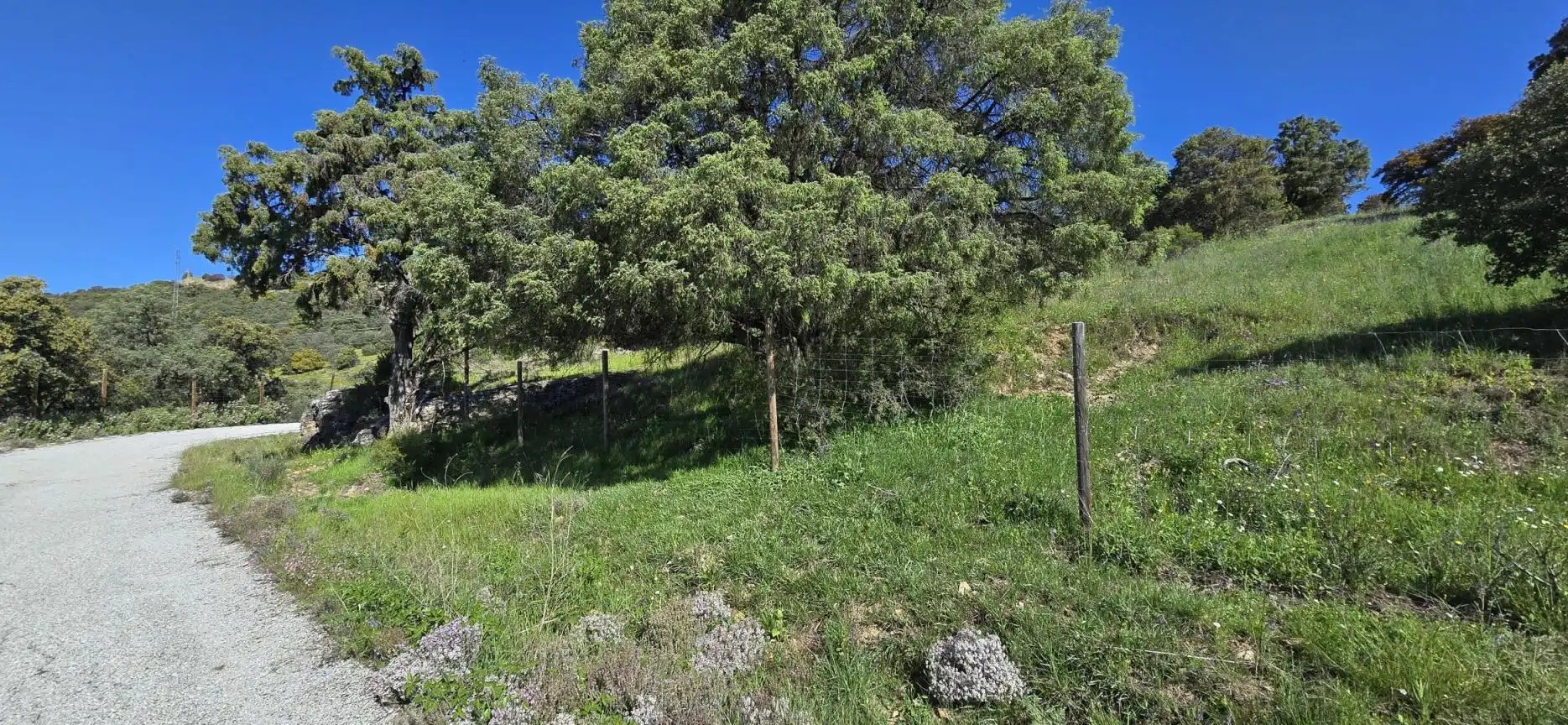 Terrenys i solars en venda a San Agustín del Guadalix pueblo, imagen 7