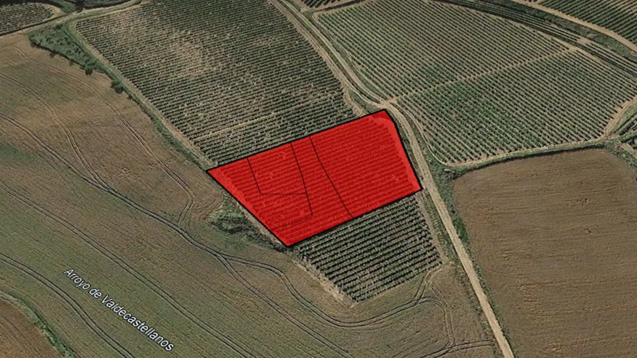 Rural land for sale in C/ Barrio del Priorato, imagen 2